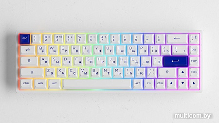 Клавиатура Akko 3068B Plus White & Blue (Akko CS Jelly Purple)