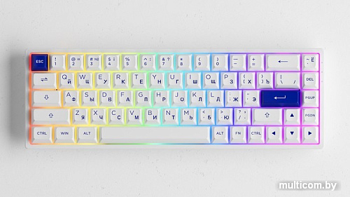 Клавиатура Akko 3068B Plus White & Blue (Akko CS Jelly Purple)