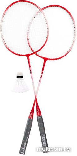 Теннис/бадминтон Darvish SR-S-26 (в ассортименте)