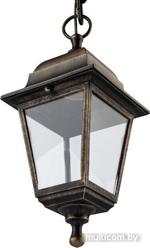 Уличный подвесной светильник ЭРА НСУ 04-60-001 Б0048106