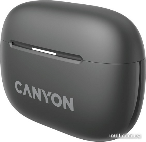 Наушники Canyon OnGo 10 ANC TWS-10 (черный)