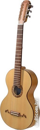 Акустическая гитара Doff RGP