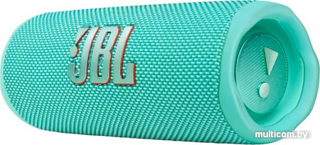Беспроводная колонка JBL Flip 6 (бирюзовый)