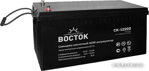 Аккумулятор для ИБП Восток СК-12200 (12В/200 А·ч)