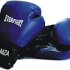Перчатки для единоборств Everfight EGB-538 (синий)