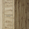 Шкаф распашной Anrex Doorset угловой 1DG (дуб наварра)