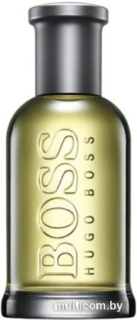 Туалетная вода Hugo Boss №6 Bottled EdT (100 мл)