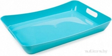 Поднос Berossi Funny ИК 19837000 (бирюзовый)