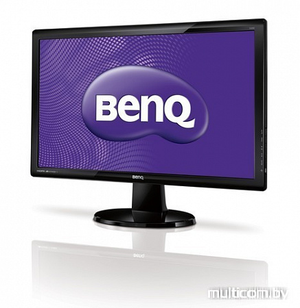 Монитор BenQ GL2450