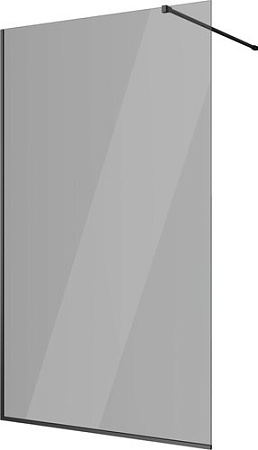 Душевая стенка Berges Wasserhaus Sky Black 120x200 064029