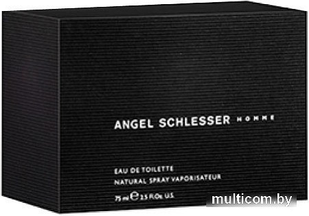 Angel Schlesser Homme edT (125 мл)