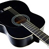 Акустическая гитара Terris TF-3802A BK