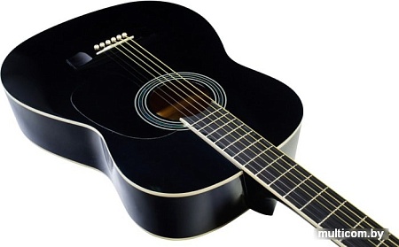 Акустическая гитара Terris TF-3802A BK