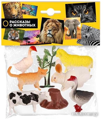 Набор фигурок Играем вместе Домашние животные ZY1383376-R