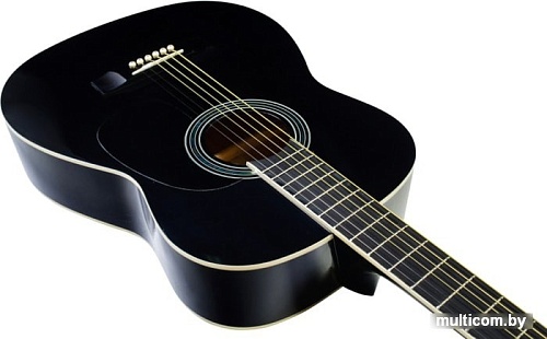 Акустическая гитара Terris TF-3802A BK