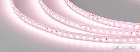 Светодиодная лента Arlight SHOP-SC-A112-10mm 24V Warm2700-Meat 028745(2)