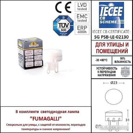 Уличный настенный светильник Fumagalli Mamete 2A3.000.000.AXZ1L