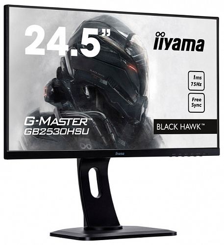 Монитор Iiyama G-Master GB2530HSU-1