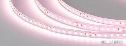Светодиодная лента Arlight SHOP-SC-A112-10mm 24V Warm2700-Meat 028745(2)
