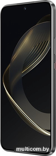 Смартфон Huawei nova 11 FOA-LX9 8GB/256GB (черный)
