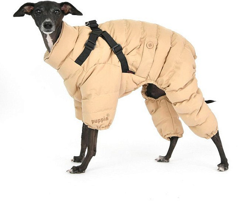 Комбинезон для животных Puppia Soft Onesie PAUD-JP1677-BE-L (бежевый)