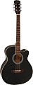 Акустическая гитара Elitaro E4020 BK