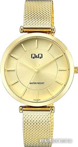 Наручные часы Q&Q Q13AJ004