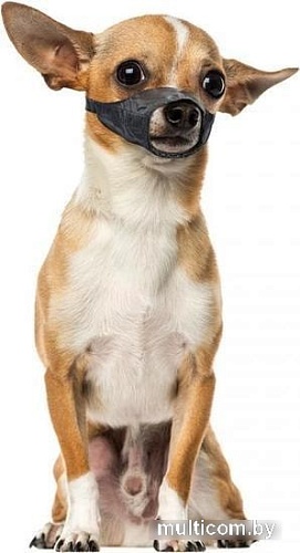 Намордник Duvo Plus Dog Muzzle 4705134/DV (черный)