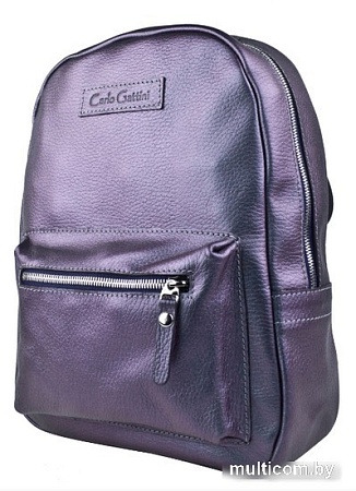 Городской рюкзак Carlo Gattini Premium Anzolla 3040-57 (северное сияние)