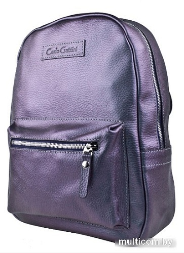 Городской рюкзак Carlo Gattini Premium Anzolla 3040-57 (северное сияние)