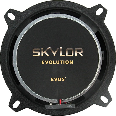 Коаксиальная АС Skylor EVO5
