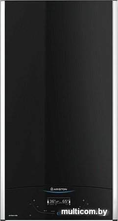 Отопительный котел Ariston Alteas One Net 30