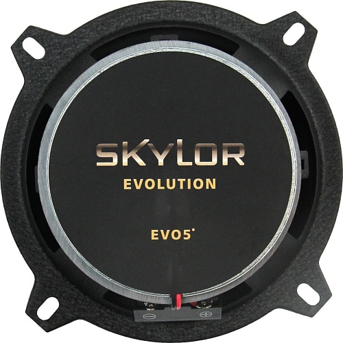 Коаксиальная АС Skylor EVO5