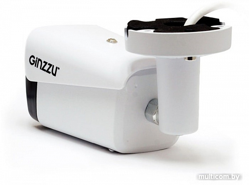 IP-камера Ginzzu HIB-2301A