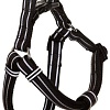 Шлея Doog Lassie HARBFL-S (черный)