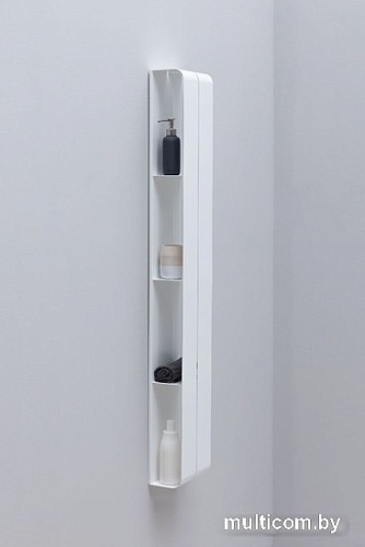 Aquanet Полка Магнум 302240