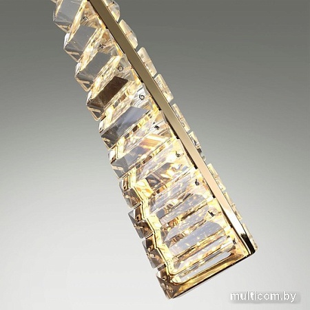 Подвесная люстра Lumion Roselle 5674/10L