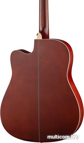 Акустическая гитара Foix FFG-2041C-NA