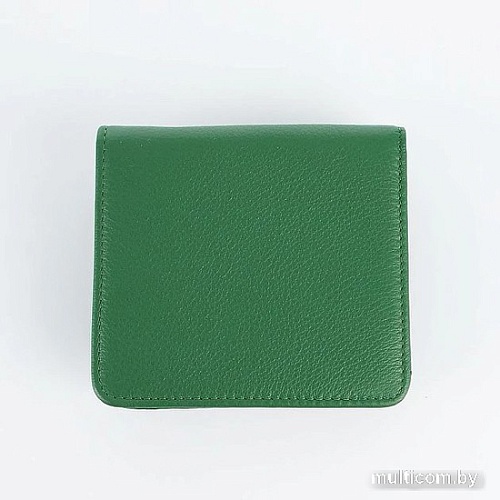 Кошелек Francesco Molinary 895-8003-GRN (зеленый)