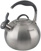 Чайник со свистком Rondell Ball RDS-495