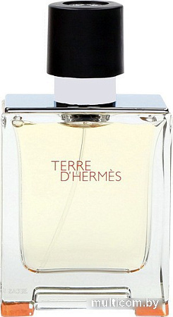 Hermes Terre d'Hermes EdT (50 мл)