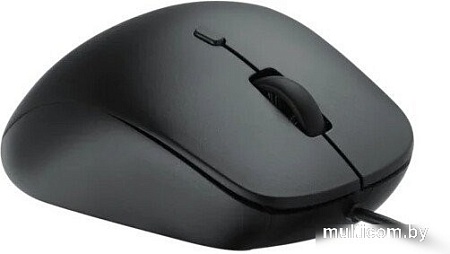 Мышь Rapoo N500 (черный)