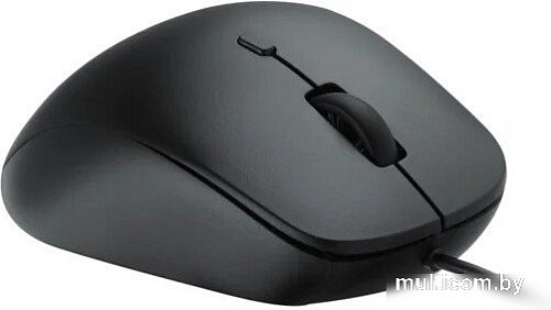 Мышь Rapoo N500 (черный)