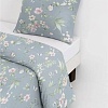 Постельное белье Василиса Idea Flowers 70985 276140 (евро, 50x70)