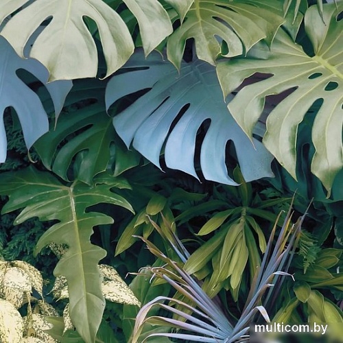 Фотообои Citydecor Цветы и Растения 145 300x260