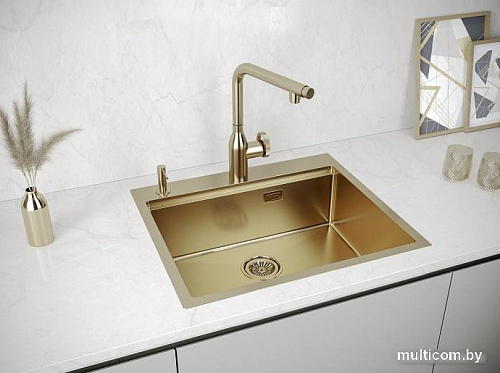 Кухонная мойка Paulmark PM705951-BG