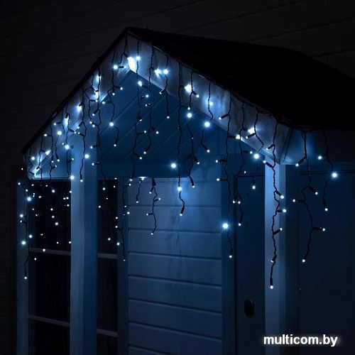 Бахрома Luazon 3x0.6 м 160 LED 3584194 (черный ПВХ провод, белый)