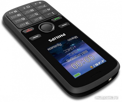 Мобильный телефон Philips Xenium E111 (черный)