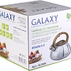 Чайник Galaxy GL9206