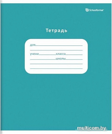 Набор тетрадей Schoolformat Однотонная школьная ТШКО24-Ш-НМП